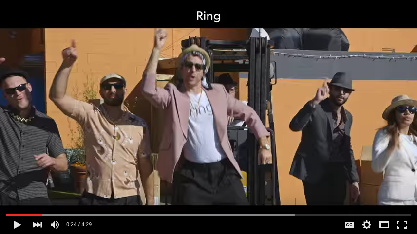 Stop What You’re Doing, You Need To See This Holiday Video!