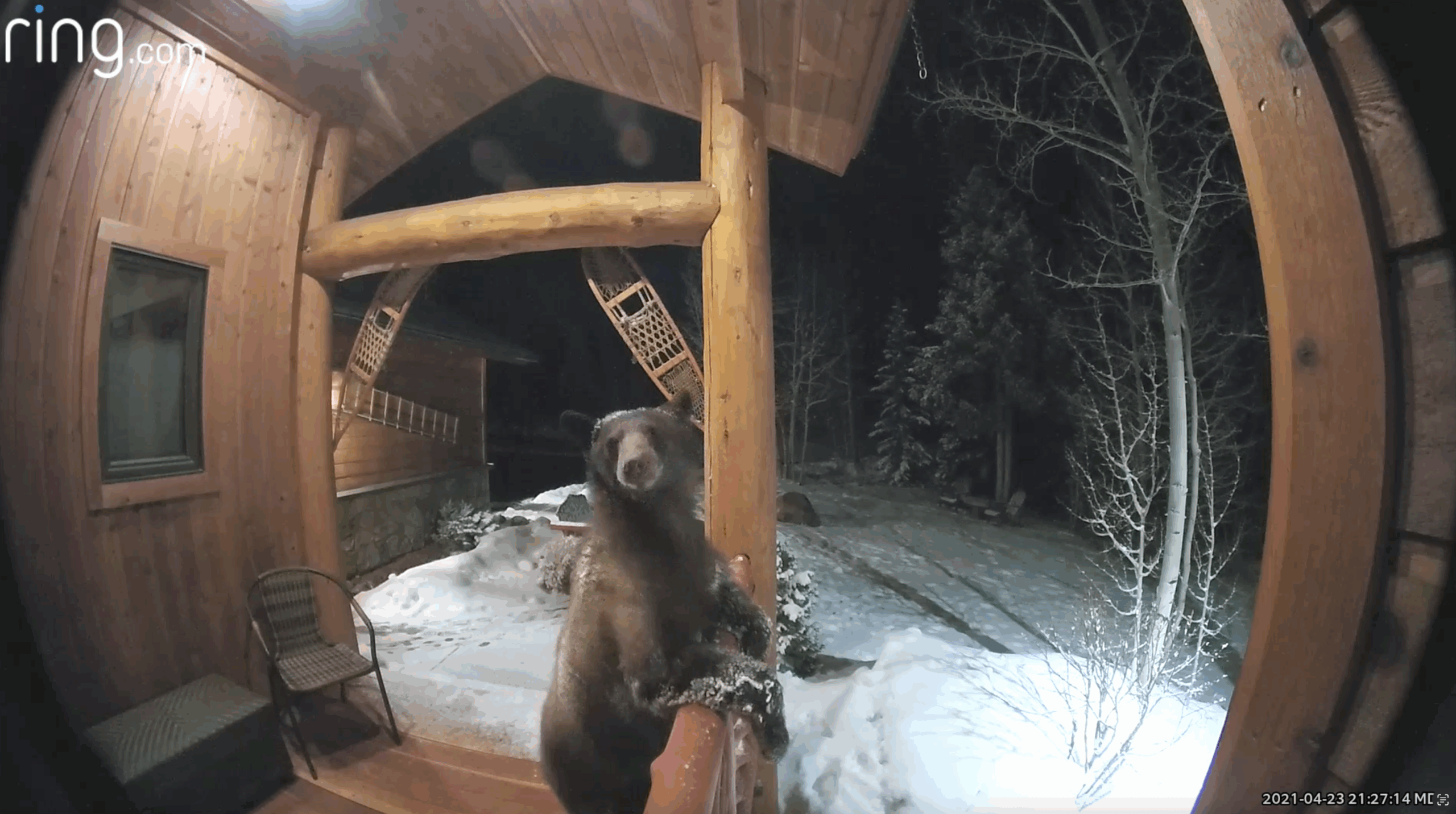 Winter’s Greatest Hits: Frosty Fun Moments & How to Prep Like a Pro