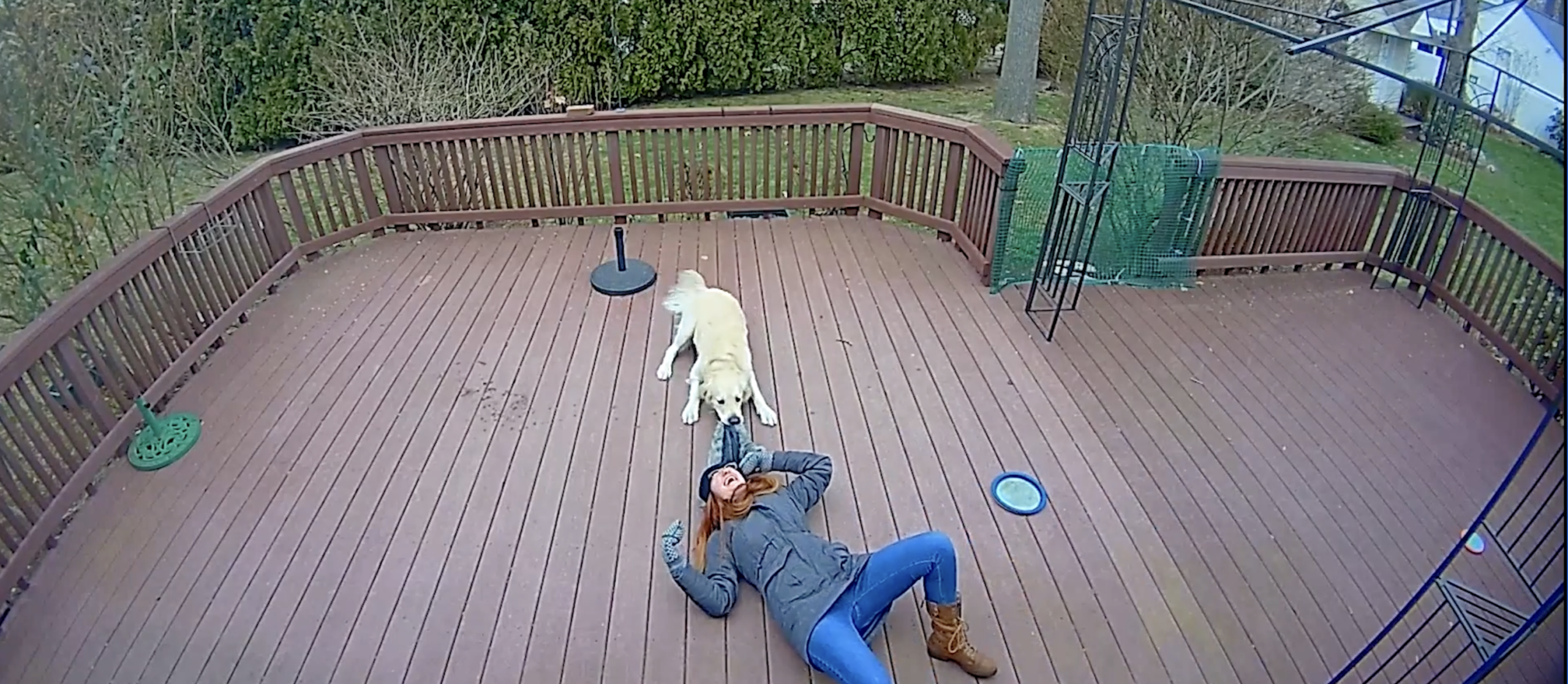 National Pet Day: When Our Pets Stole the Show (and Our Hearts)