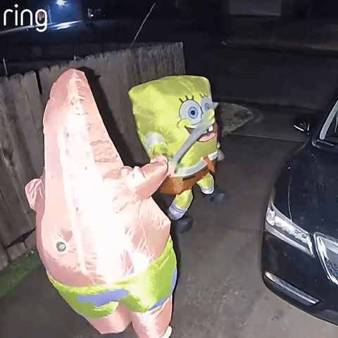 Spring Into Laughter: Your Funniest Neighborhood Moments