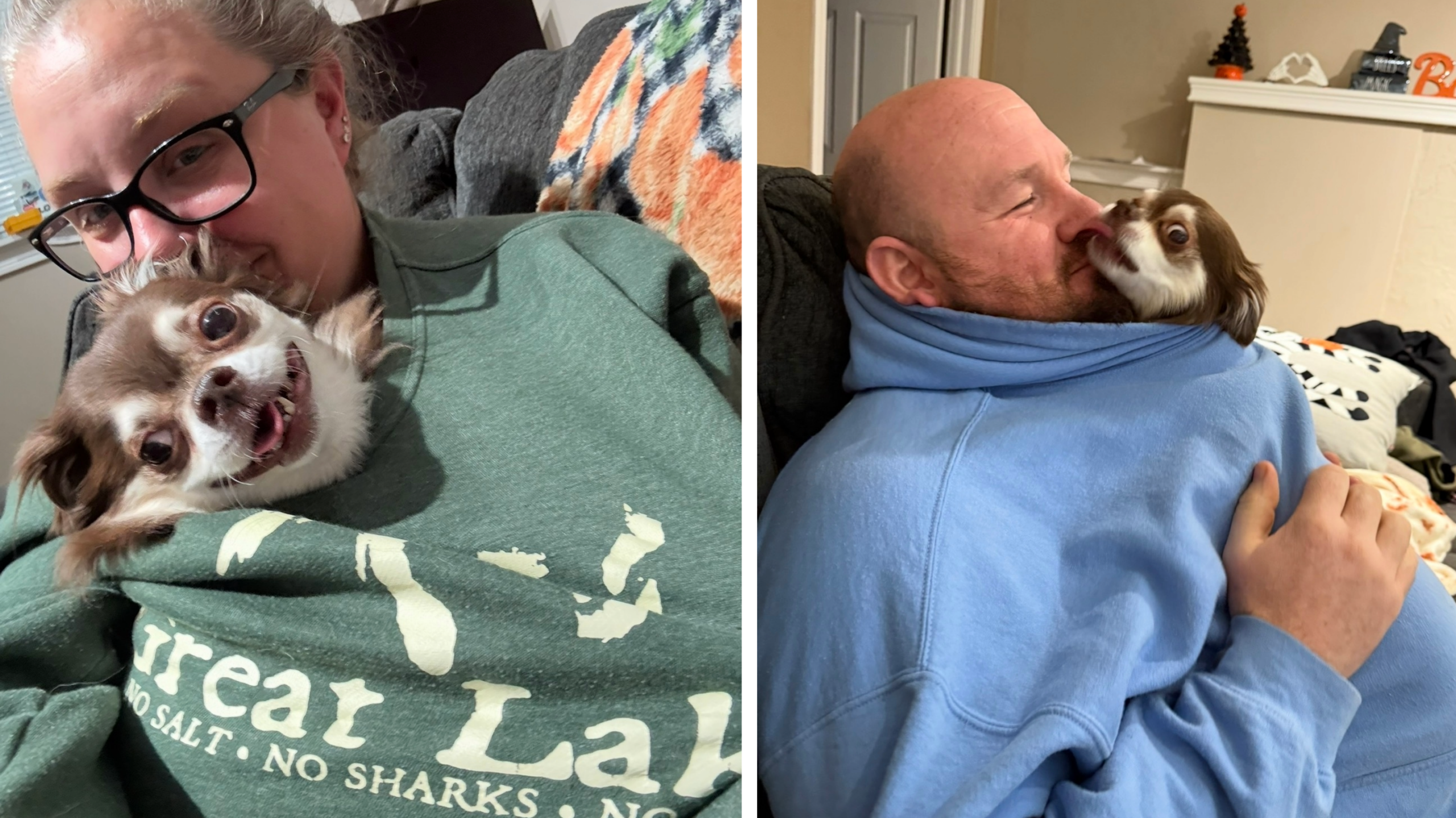 How a Smoke Alert Helped Save a Family’s Dog From a House Fire